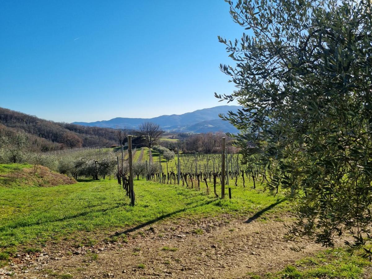 Walkandrace Sant'Agata  Екстер'єр фото